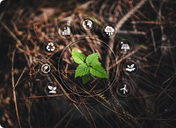 Planes de compensacion